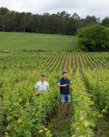 Patrick & Stéphane Maroiller dans les vignes