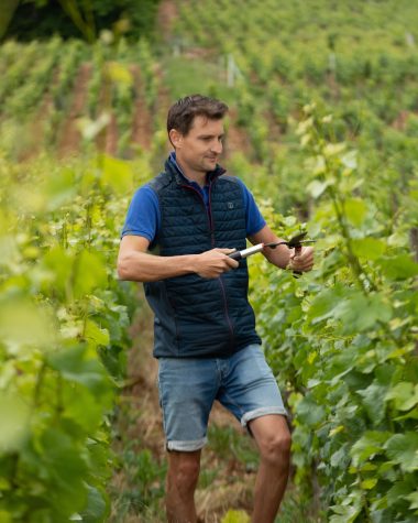 Stéphane Maroiller dans les vignes