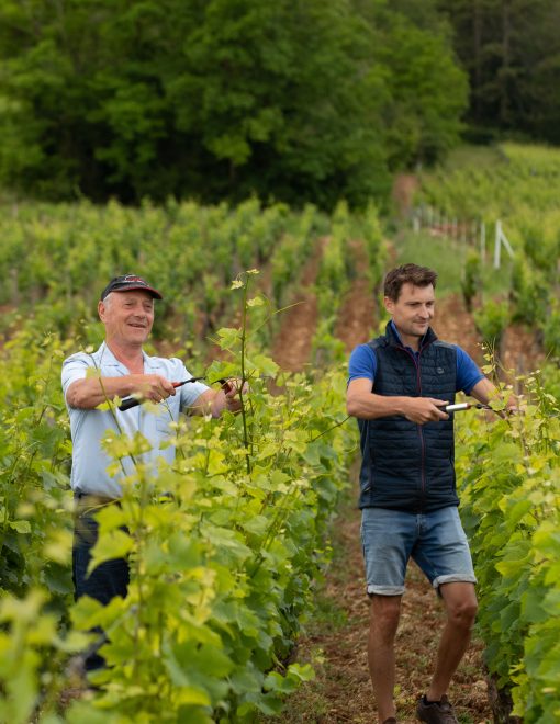 Patrick & Stéphane Maroiller dans les vignes