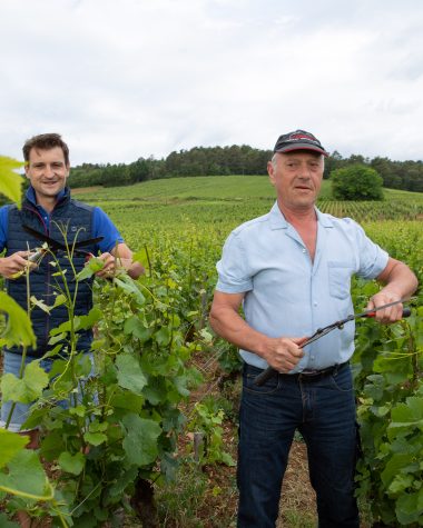 Patrick & Stéphane Maroiller dans les vignes